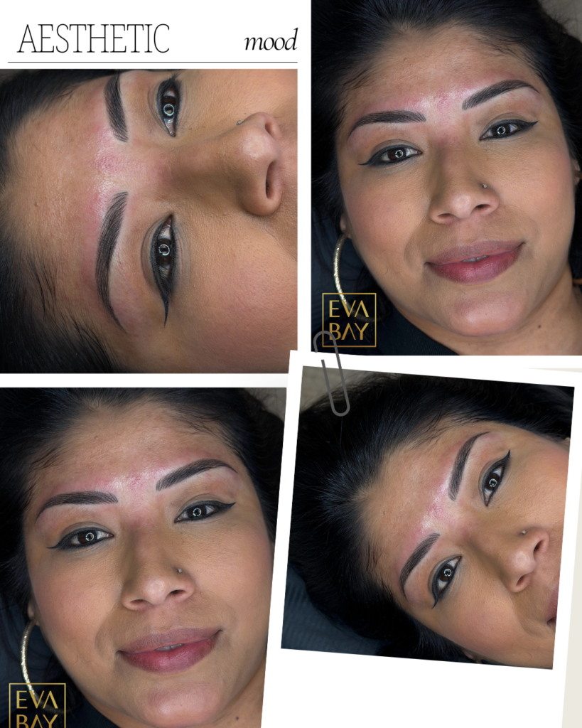 Ombre Powder Brows Beverly Hills & San Jose Natural Permanent Makeup Brows